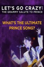 Watch Let\'s Go Crazy: The Grammy Salute to Prince Freemovieswatch