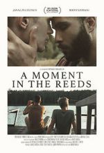 Watch A Moment in the Reeds Freemovieswatch