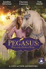 Watch Pony with a Broken Wing Freemovieswatch