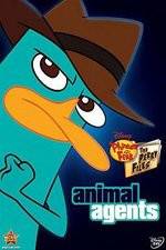 Watch Phineas And Ferb Animal Agents Freemovieswatch