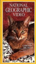 Watch Cats: Caressing the Tiger Freemovieswatch