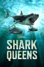 Watch Shark Queens Freemovieswatch