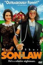 Watch Son in Law Freemovieswatch