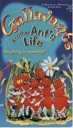 Watch Gallavants Freemovieswatch