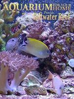 Watch Aquarium for Your Home: Saltwater Reef Freemovieswatch