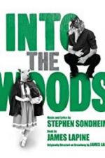 Watch Into the Woods Freemovieswatch