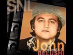 Watch Saturday Night Live: The Best of John Belushi Freemovieswatch