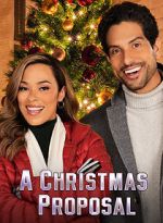 Watch A Christmas Proposal Freemovieswatch