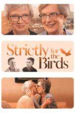 Watch Strictly for the Birds Freemovieswatch
