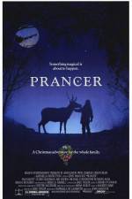 Watch Prancer Freemovieswatch