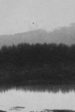 Watch Ch\'an Freemovieswatch