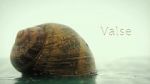 Watch Valse (Short 2013) Freemovieswatch