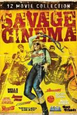 Watch Wild Riders Freemovieswatch