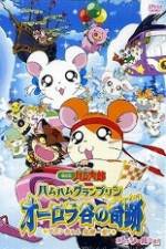 Watch Hamtaro Movie 3: Ham Ham Grand Prix Freemovieswatch
