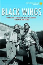 Watch Black Wings Freemovieswatch