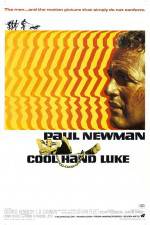 Watch Cool Hand Luke Freemovieswatch