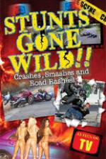 Watch Stunts Gone Wild: Crashes, Smashes & Road Rashes! Freemovieswatch