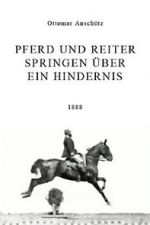 Watch Pferd und Reiter Springen ber ein Hindernis Freemovieswatch