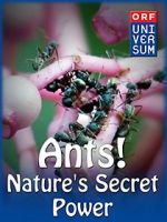 Watch Ants: Nature\'s Secret Power Freemovieswatch