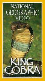 Watch King Cobra Freemovieswatch