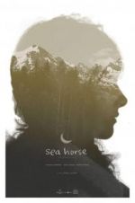 Watch Sea Horse Freemovieswatch