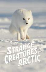 Watch Strange Creatures of the Arctic (TV Special 2022) Freemovieswatch