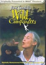Watch Jane Goodall\'s Wild Chimpanzees Freemovieswatch