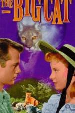 Watch The Big Cat Freemovieswatch