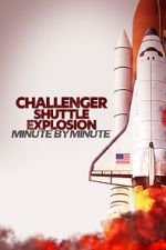 Watch Challenger Shuttle Disaster: Minute by Minute Freemovieswatch