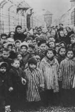Watch AUSCHWITZ: LIBERATION AND REVENGE Freemovieswatch