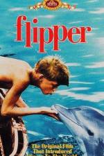 Watch Flipper Freemovieswatch