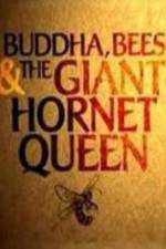 Watch Natural World Buddha Bees and the Giant Hornet Queen Freemovieswatch