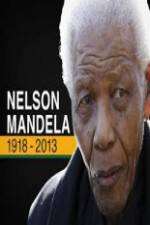 Watch Nelson Mandela: The Final Chapter Freemovieswatch