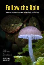 Watch Follow the Rain Freemovieswatch