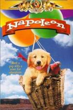 Watch Napoleon Freemovieswatch