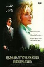 Watch Shattered Image Freemovieswatch