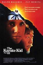 Watch The Karate Kid, Part III Freemovieswatch