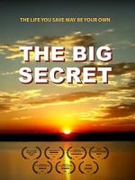 Watch The Big Secret Freemovieswatch
