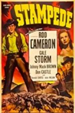 Watch Stampede Freemovieswatch