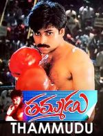 Watch Thammudu Freemovieswatch