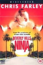 Watch Beverly Hills Ninja Freemovieswatch