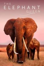 Watch The Elephant Queen Freemovieswatch