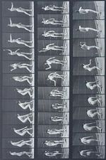 Watch Woman Throwing Baseball Freemovieswatch