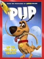 Watch Pup Freemovieswatch