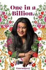 Watch Zarna Garg: One in a Billion Freemovieswatch