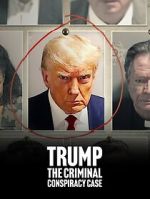 Watch Trump: The Criminal Conspiracy Case Freemovieswatch