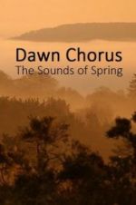 Watch Dawn Chorus: The Sounds of Spring Freemovieswatch