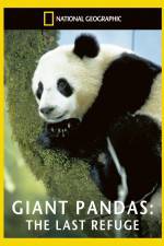 Watch National Geographic Giant Pandas The Last Refuge Freemovieswatch