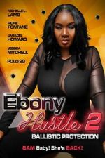 Watch Ebony Hustle 2: Ballistic Protection Freemovieswatch