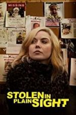 Watch Stolen in Plain Sight Freemovieswatch